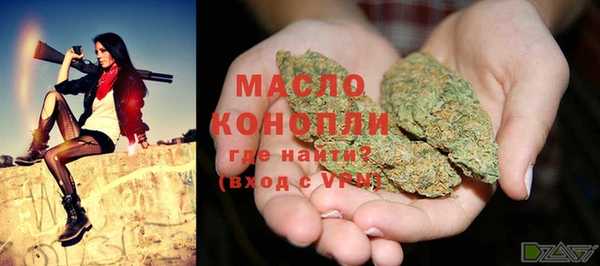 гидра Армянск